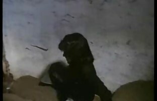 XXX Wilde vibrante acción videos x cerdas